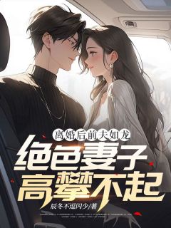 离婚后前夫如龙，绝色妻子高攀不起