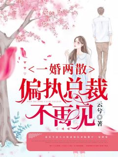 一婚两散：偏执总裁不再见