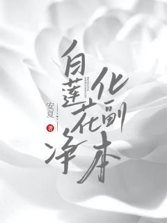 白莲花净化副本