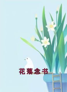 花落念书